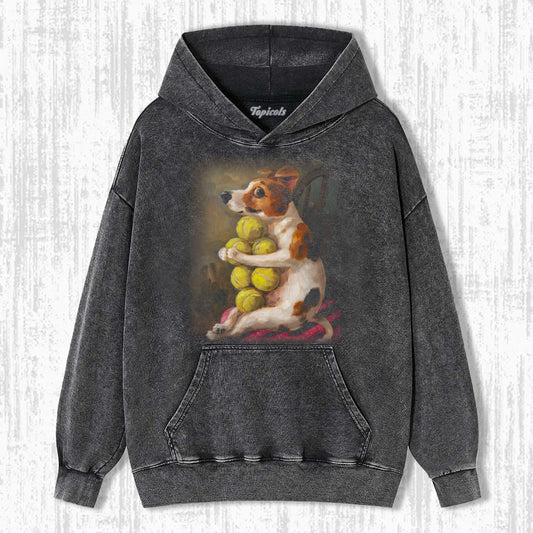 ARCHIE - LOST A BALL AND FOUND SIX  HOODIE